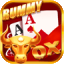 rummy 334 apk